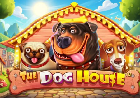 The Dog House Slot Test